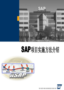 SAP实施