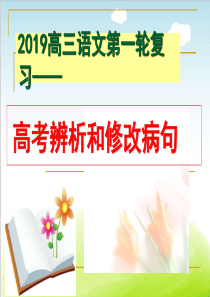 2019年高考病句专题复习——高考语病辨析并修改(精品版)
