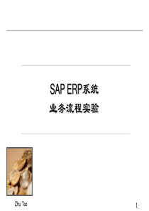 SAP ERP系统业务流程实验