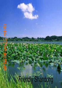 旅游在山东英语