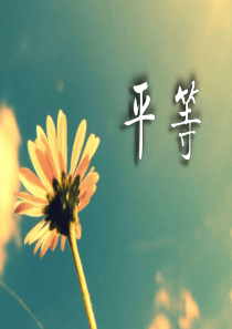 社会主义核心价值观——平等