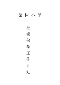 2018学年度控辍保学工作计划