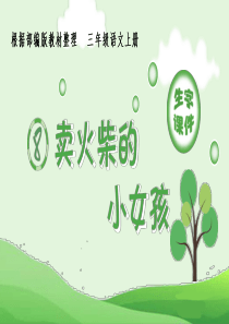 (生字课件)《卖火柴的小女孩》PPT-部编版