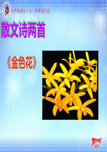 《金色花》pptx课件(9)完美版