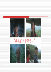 曹文轩《草房子》ppt课件(14页)