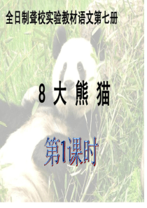 8、大熊猫-教学PPT