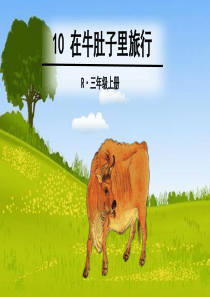 三年级上册--10-在牛肚子里旅行