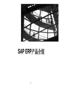 SAPERP产品介绍