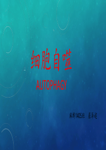 细胞自噬
