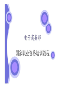 电子商务师国家职业资格培训教程
