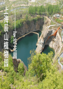 上海辰山植物园矿坑花园