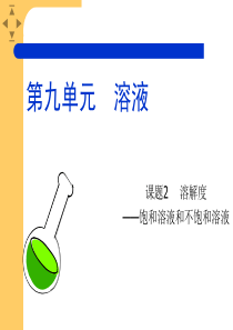 溶解度——饱和溶液和不饱和溶液PPT课件-人教版