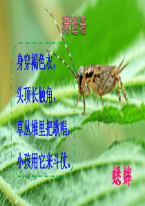 部编三上语文10--在牛肚子里旅行PPT