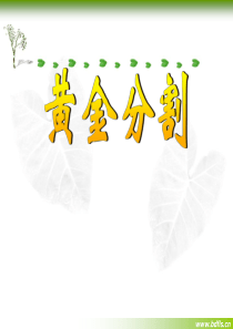 《黄金分割》概念