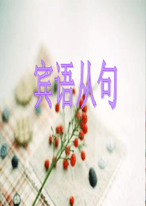中考英语语法一轮复习——宾语从句讲解(共36张PPT)