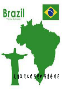 Brazil进出口