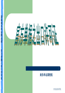 9官方单证之出口许可证