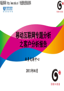 XXXX年移动互联网专题分析之客户分析报告（PPT37页）