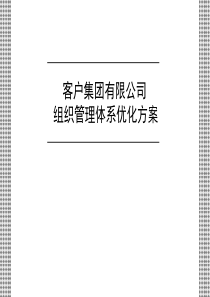 客户组织管理体系优化方案报告