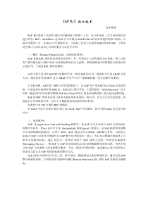 SAP接口技术报告