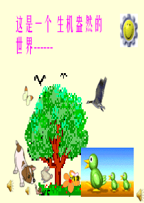 动物在生物圈中的作用课件.ppt