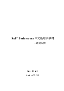 SAP敏捷采购XXXX