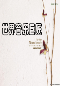 《贝多芬介绍》ppt课件...