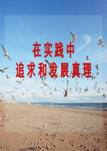 在实践中追求和发展真理(优质课)