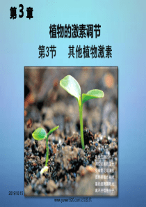 【人教版】必修三生物：3.3《其他植物激素》优秀ppt课件