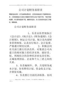 公司计划财务部职责