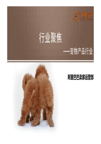 (463)阿里巴巴整理的宠物用品市场分析报告