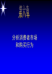 21世纪高级营销主管培训--第六章-分析消费者市场和购买行为(PPT 15)