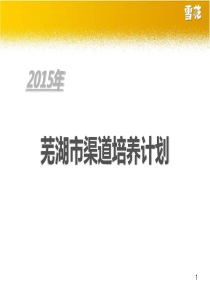 XXXX年芜湖市渠道培养方案