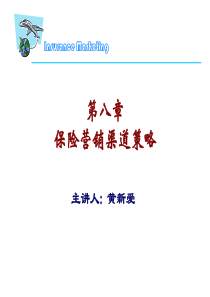 保险营销渠道（PPT48页)