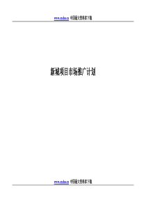 新城项目市场推广计划doc66