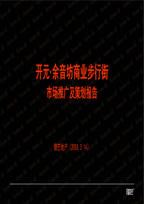 杭州开元余音坊商业步行街市场推广策划报告