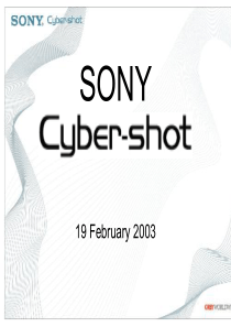 索尼数码市场推广方案