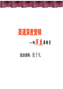 渠道深度营销—向深度要销量
