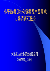 大连小平岛项目社会资源及产品需求市场调查