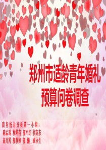 婚恋市场调查（PPT33页)