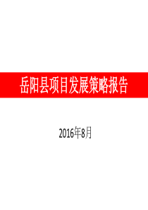 岳阳市场调研报告