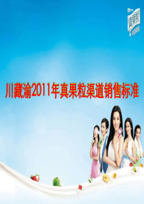 真果粒渠道销售标准