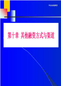 第10章其他融资方式与渠道
