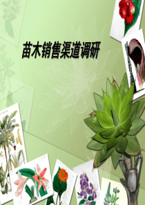 苗木销售渠道调研
