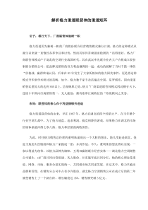 解析格力渠道联营体的渠道矩阵(doc7)(1)