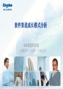 软件渠道成长模式分析