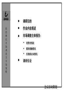 摩托车县级市场调研报告