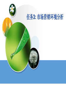 任务3市场营销环境分析