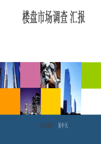 某楼盘市场调查汇报