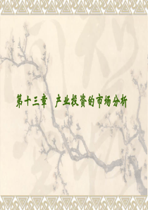 产业投资的市场分析（PPT 42页）